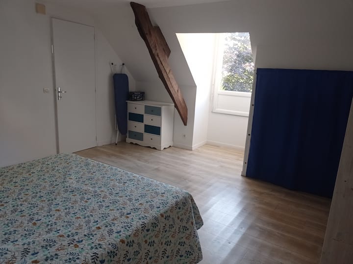 Habitación 1