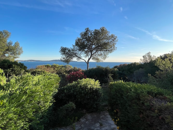 Studio Neuf Au Bord De L'eau - La Capte