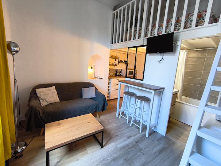 Studio Lumineux Avec Chambre Sur Mezzanine - Talence