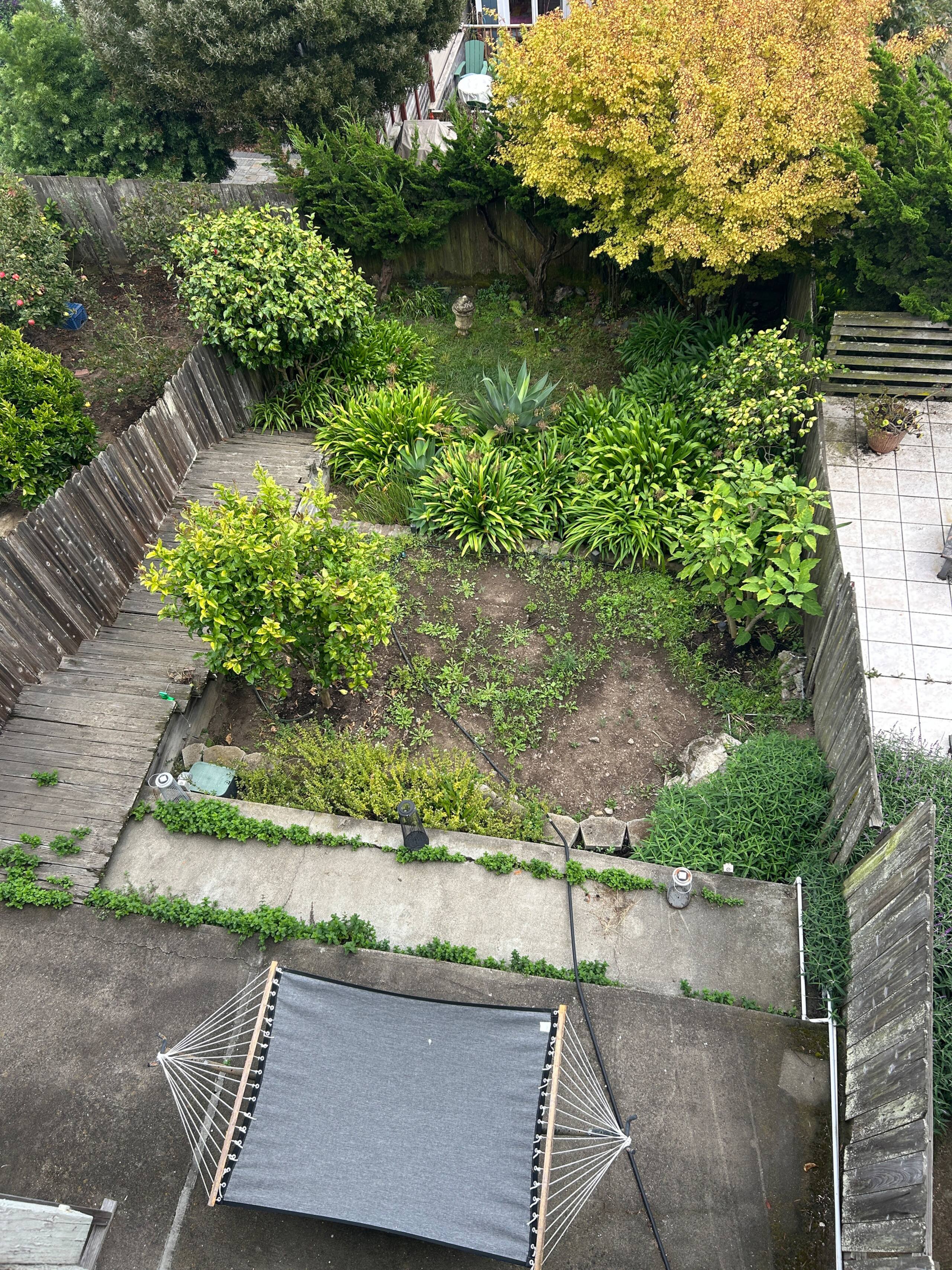 Private Lux Studio Apt. W Garden/Hammock BART - Image 15
