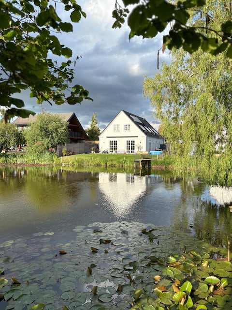 Modern and unique oasis