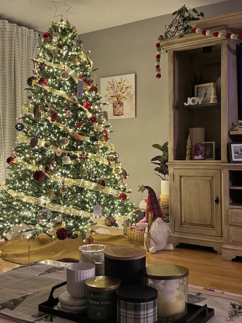 Home for the Holidays-Close to airport and Bangor!