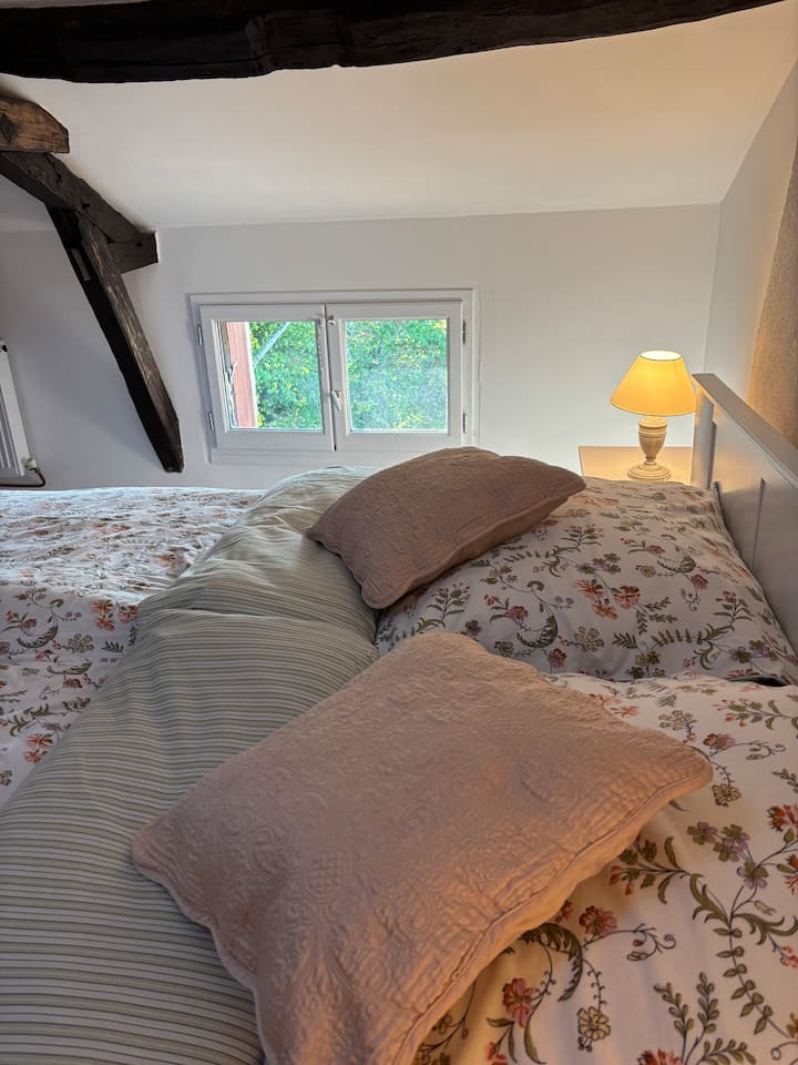 Habitación 1