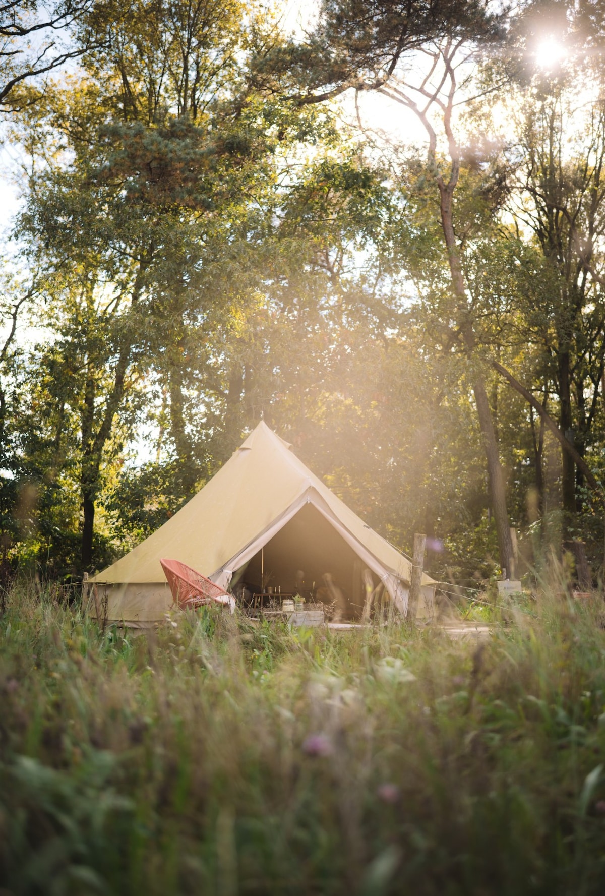 A luxury bell tent is set amidst tall grasses and trees, creating a serene natural environment. The entrance of the tent is open, revealing a cozy interior. A comfortable seating area is visible outside, inviting guests to relax and enjoy the peaceful surroundings.