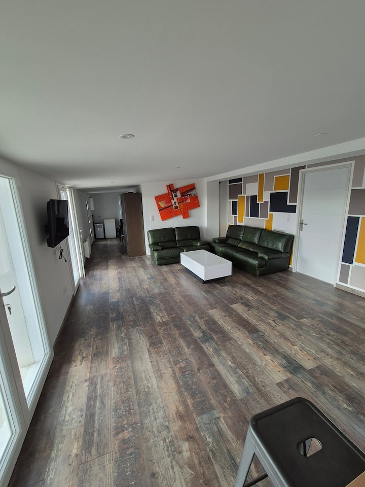 Logement Spacieux Albi - Albi