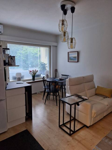 Popular Airbnb listing: Cozy little apartment with air conditioning & a parking space in Helsinki