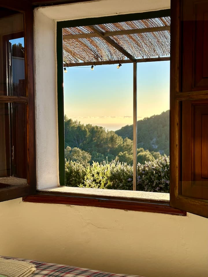 Incredible view of the sea and forest from your bed! 