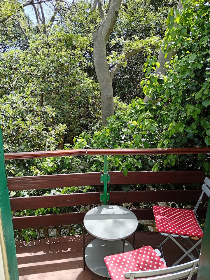 House Nenolino - Split