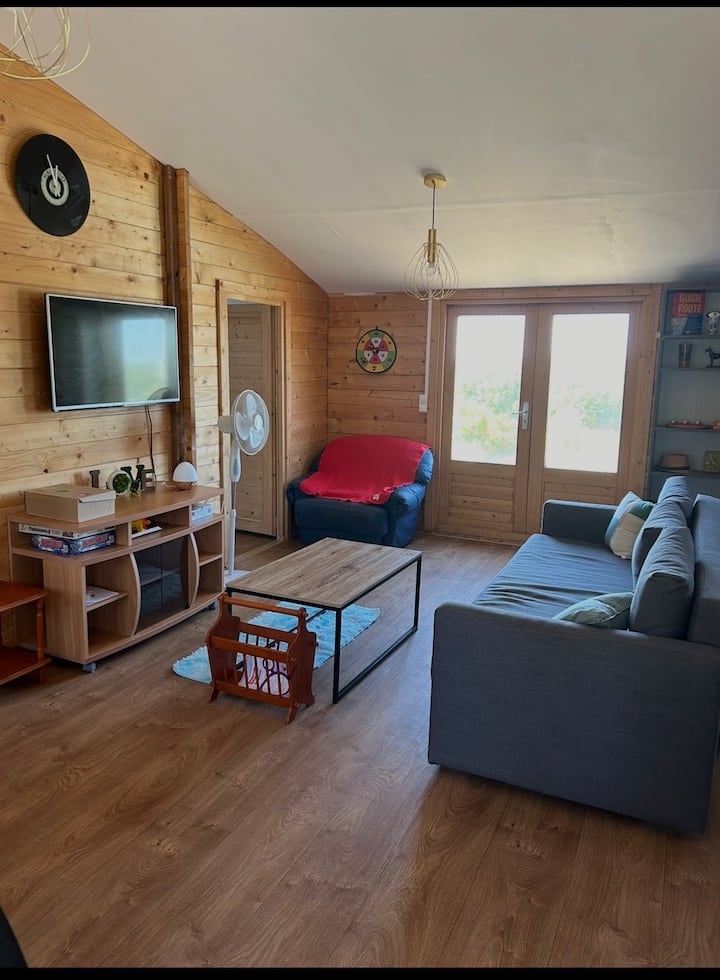 Maison Style Chalet En Bois - Gaillac