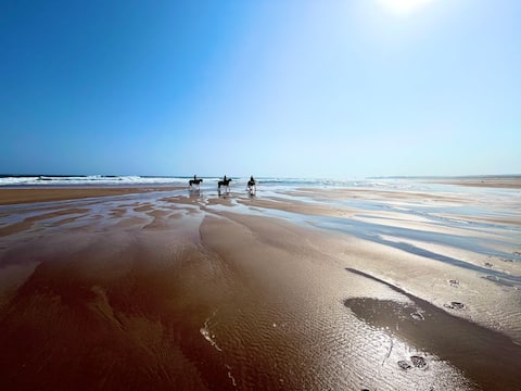 Quiet Beach House with 3 bedrooms, drive & garden