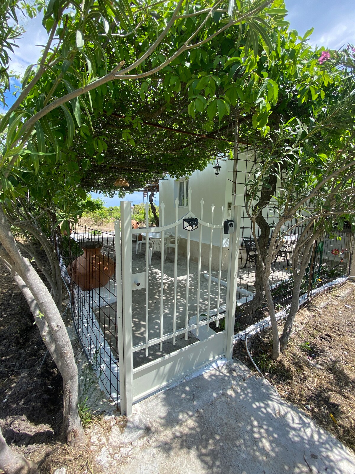 A white gate opens into a shaded patio area, bordered by lush greenery and climbing plants. Sunlight filters through the leaves, casting soft shadows on the stone pathway leading inside the cottage. A few outdoor chairs are positioned around a small table, inviting relaxation.