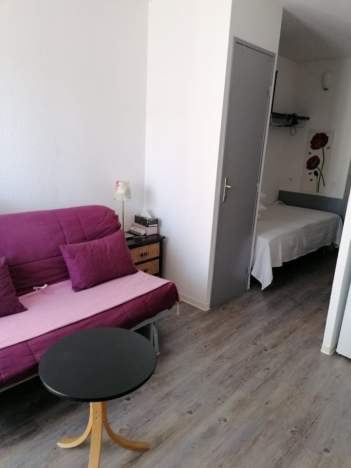 Studio Avec Balcon Plein Soleil - Lamalou-les-Bains
