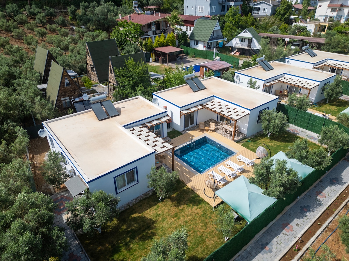 An aerial view captures two villas next to each other, surrounded by lush greenery and olive trees. The private pool is visible, along with lounge chairs positioned on a wooden deck. Adjacent shady areas are provided by canopies, enhancing the outdoor space.