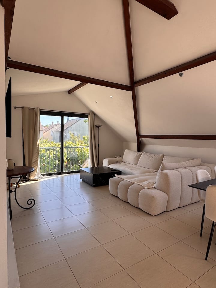 Villa & Sa Piscine Privée - Marne-la-Vallée