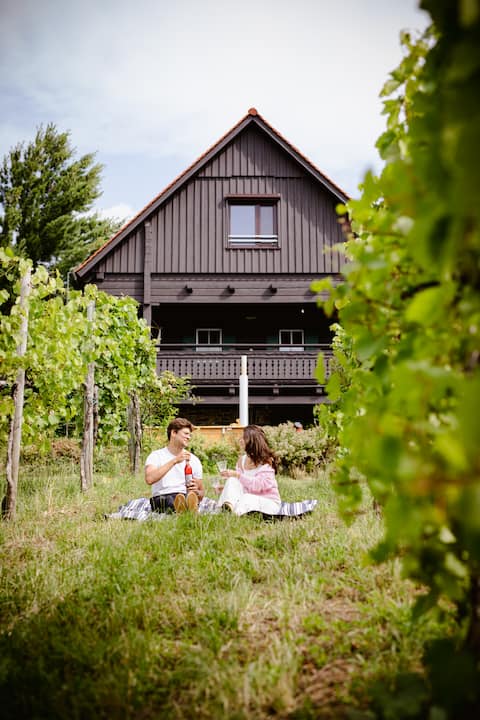 Schilcherlandleben - house in the vineyard