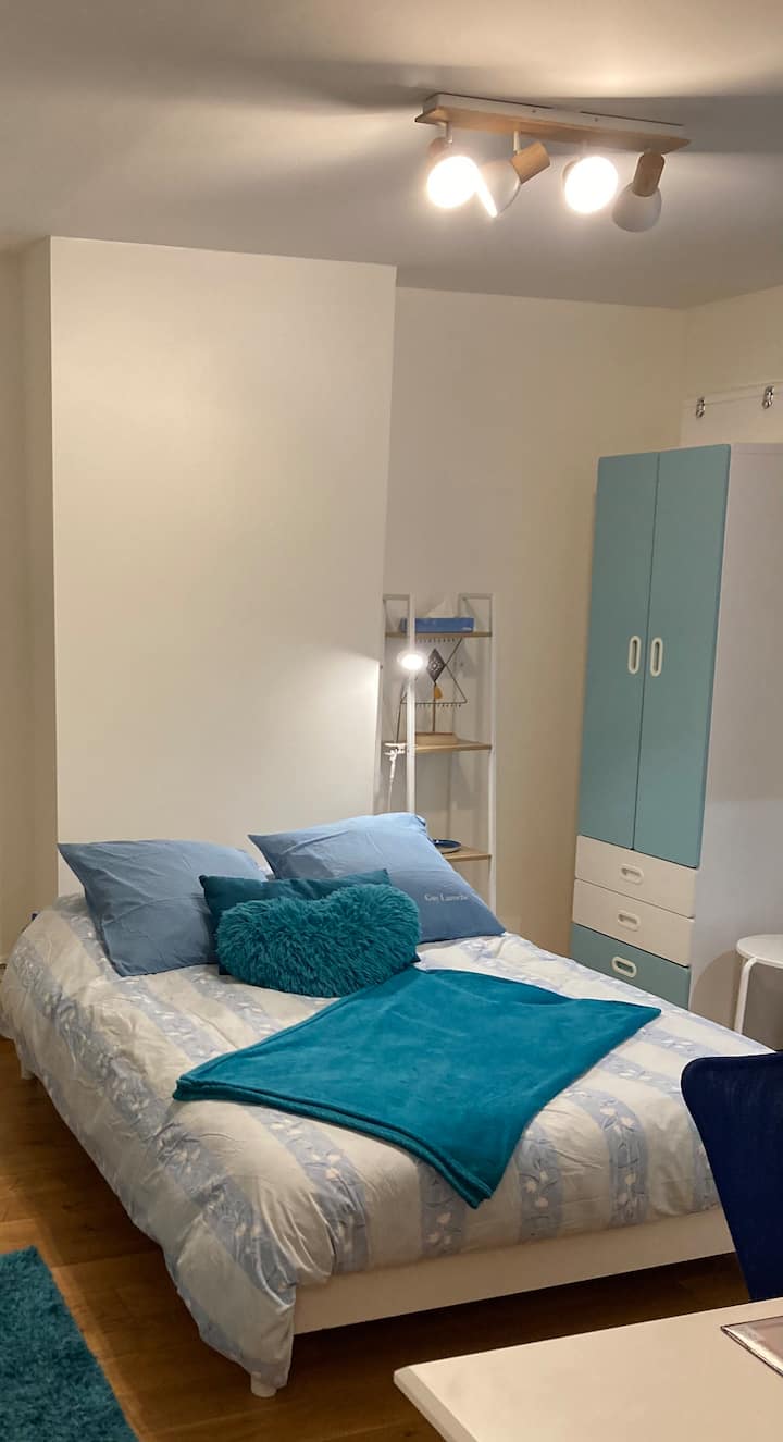 Studio room of 17m2 with double bed and desk. Private bathroom and toilet. 