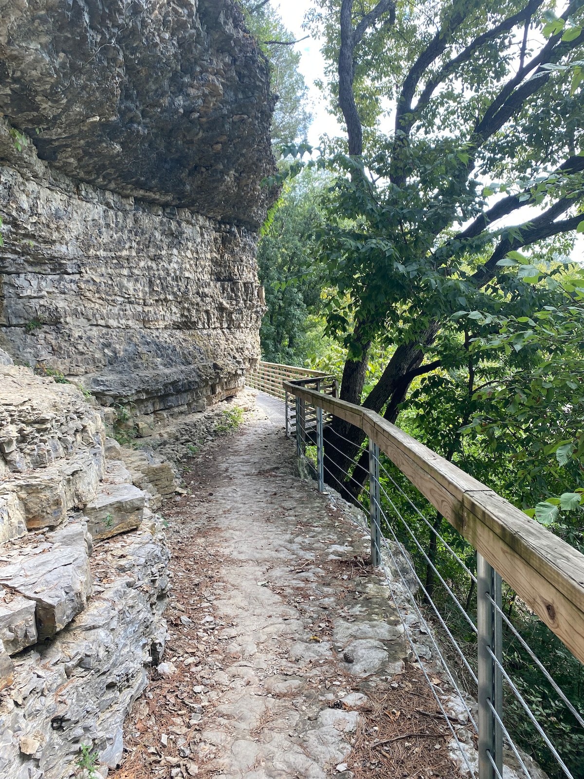 A nature trail winds along a rocky cliffside, bordered by a wooden railing. The path is surrounded by lush greenery and towering trees, offering a serene atmosphere. Sunlight filters through the foliage, enhancing the natural landscape.