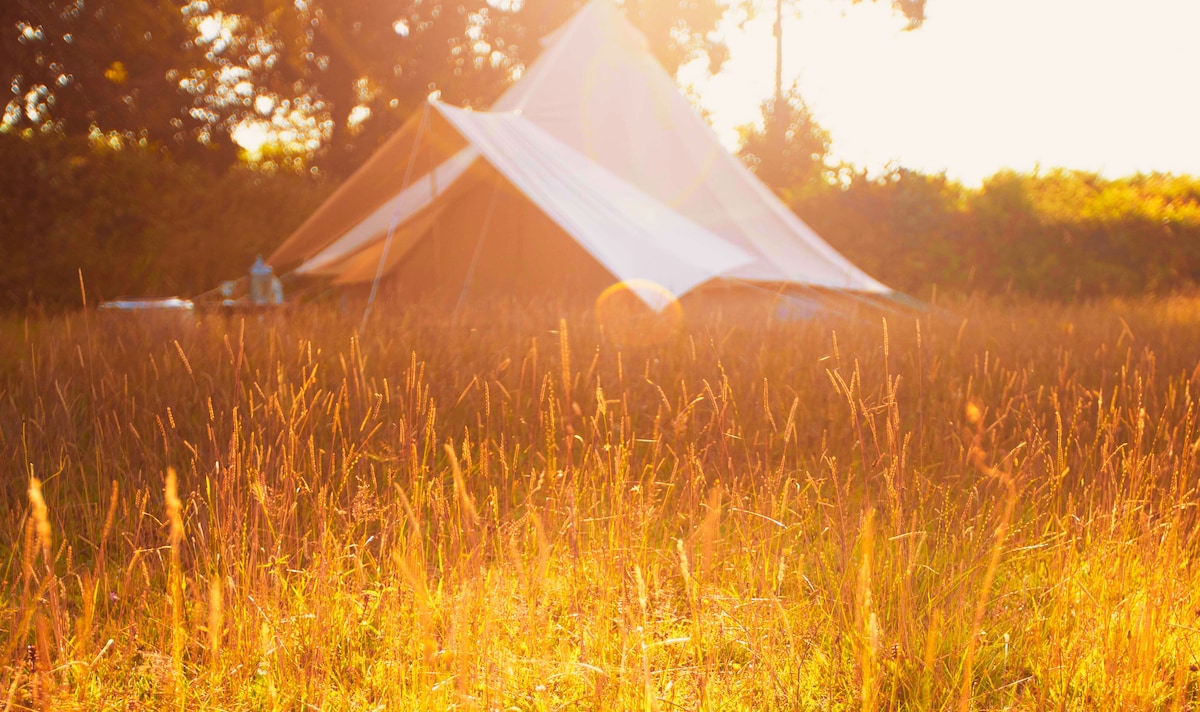 A bell tent is set in a meadow, surrounded by tall grass illuminated by soft sunlight. The tent is partially open, revealing the inviting entrance. The natural landscape showcases the warmth of the golden hour, enhancing the serene outdoor atmosphere.