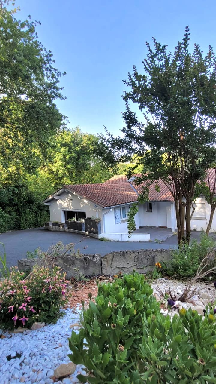 Appartement - Saint-Jean-de-Luz