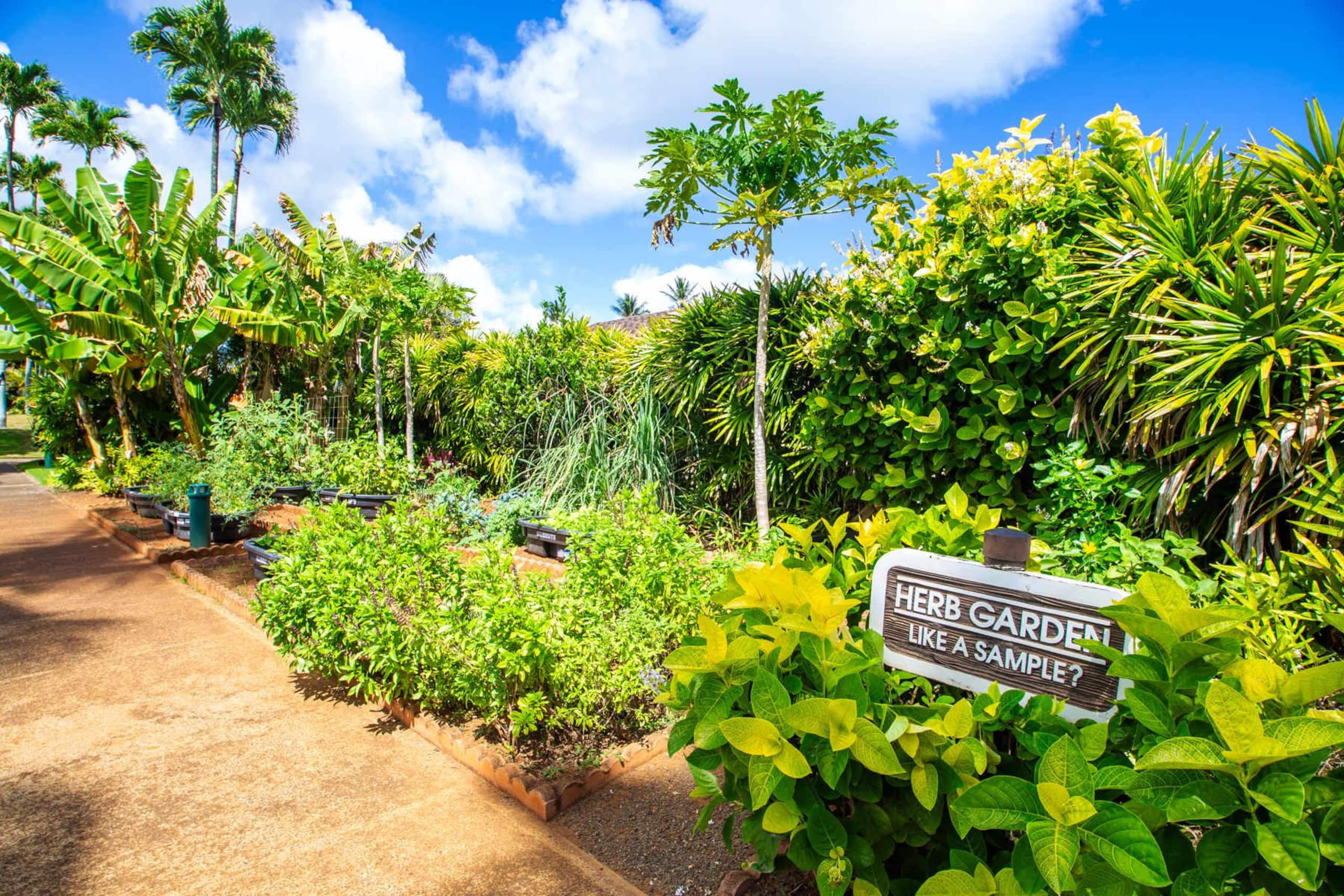 Condo in Kapaa · ★4.7 · 1 bedroom · 2 beds · 1 bath - Image 31