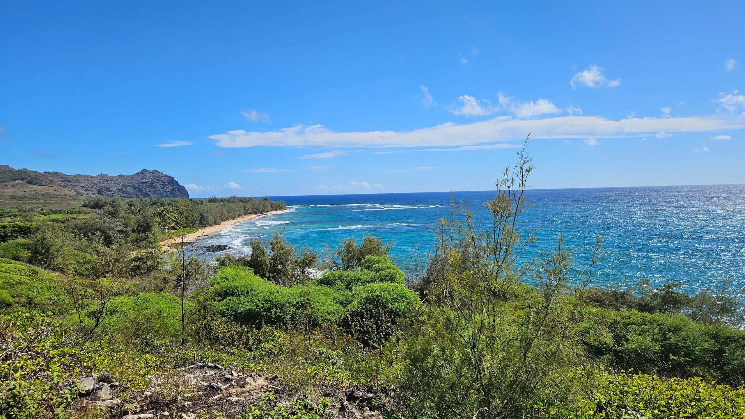 Condo in Kapaa · ★4.7 · 1 bedroom · 2 beds · 1 bath - Image 51