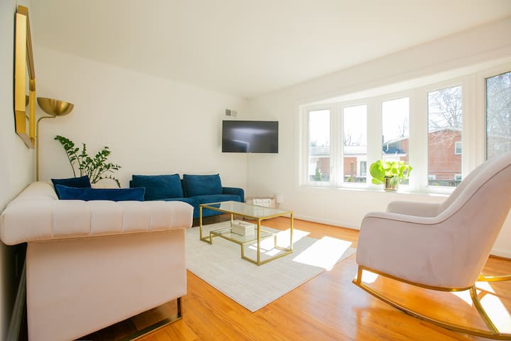 Modern Chic Home W/ Lots Of Natural Light Near Dc - Silver Spring, MD