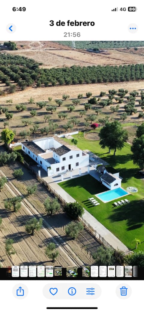 12 minutes from downtown Seville!