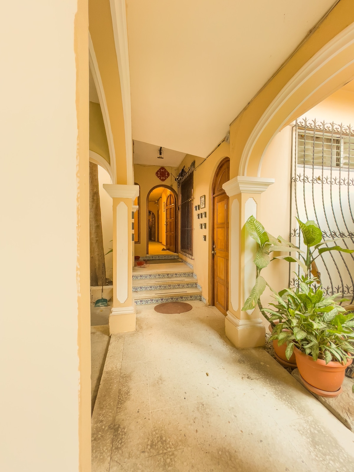 An inviting corridor is framed by arched doorways and soft beige walls. Potted plants line the floor, adding a touch of greenery. Decorative tiles form a pattern on the stairs leading to doors that open into the private spaces of the apartment.