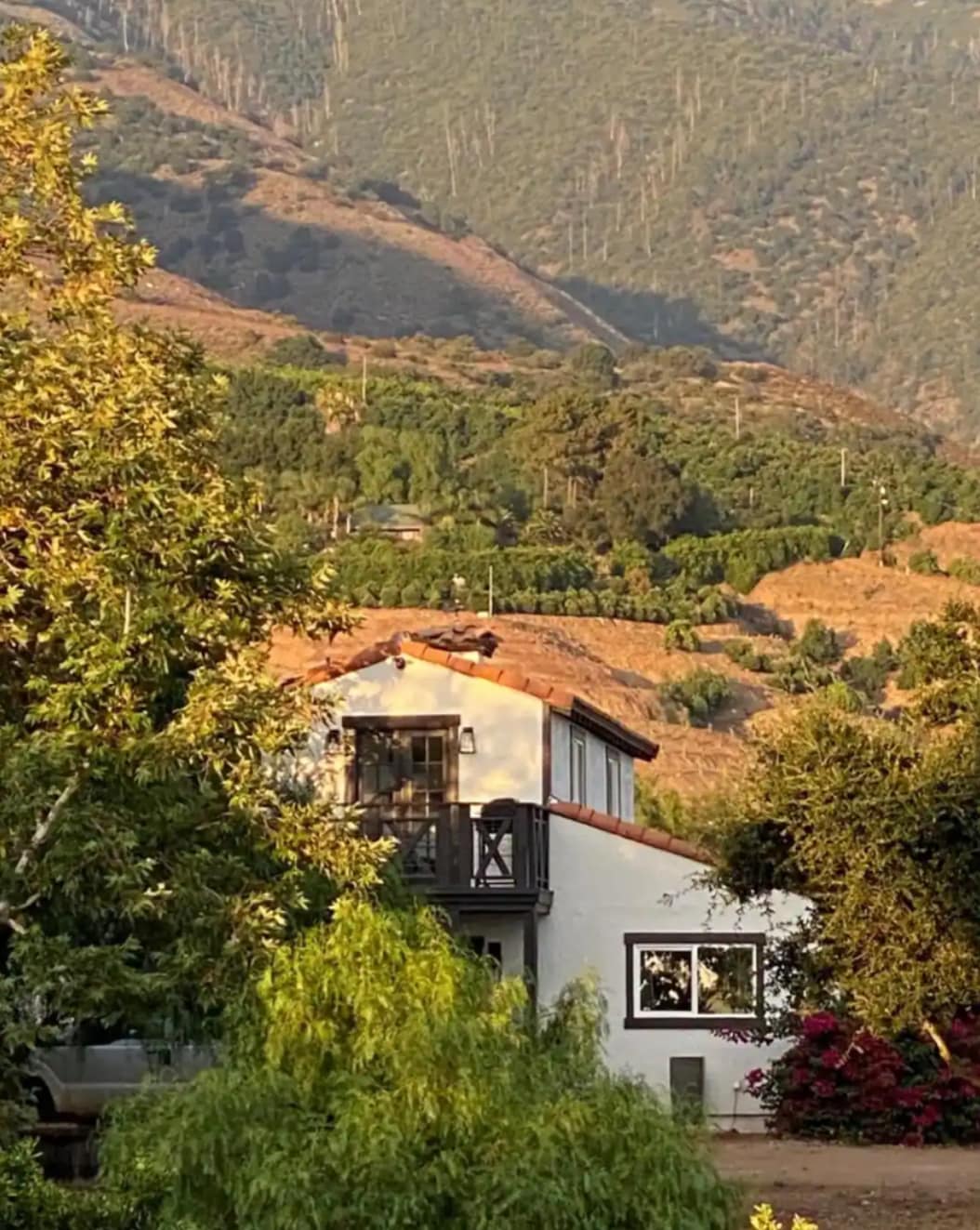A two-story barn with a white exterior and terracotta roof is framed by lush greenery and colorful flowers. Rolling hills with trees and a citrus grove are visible in the background, illuminated by warm evening light.