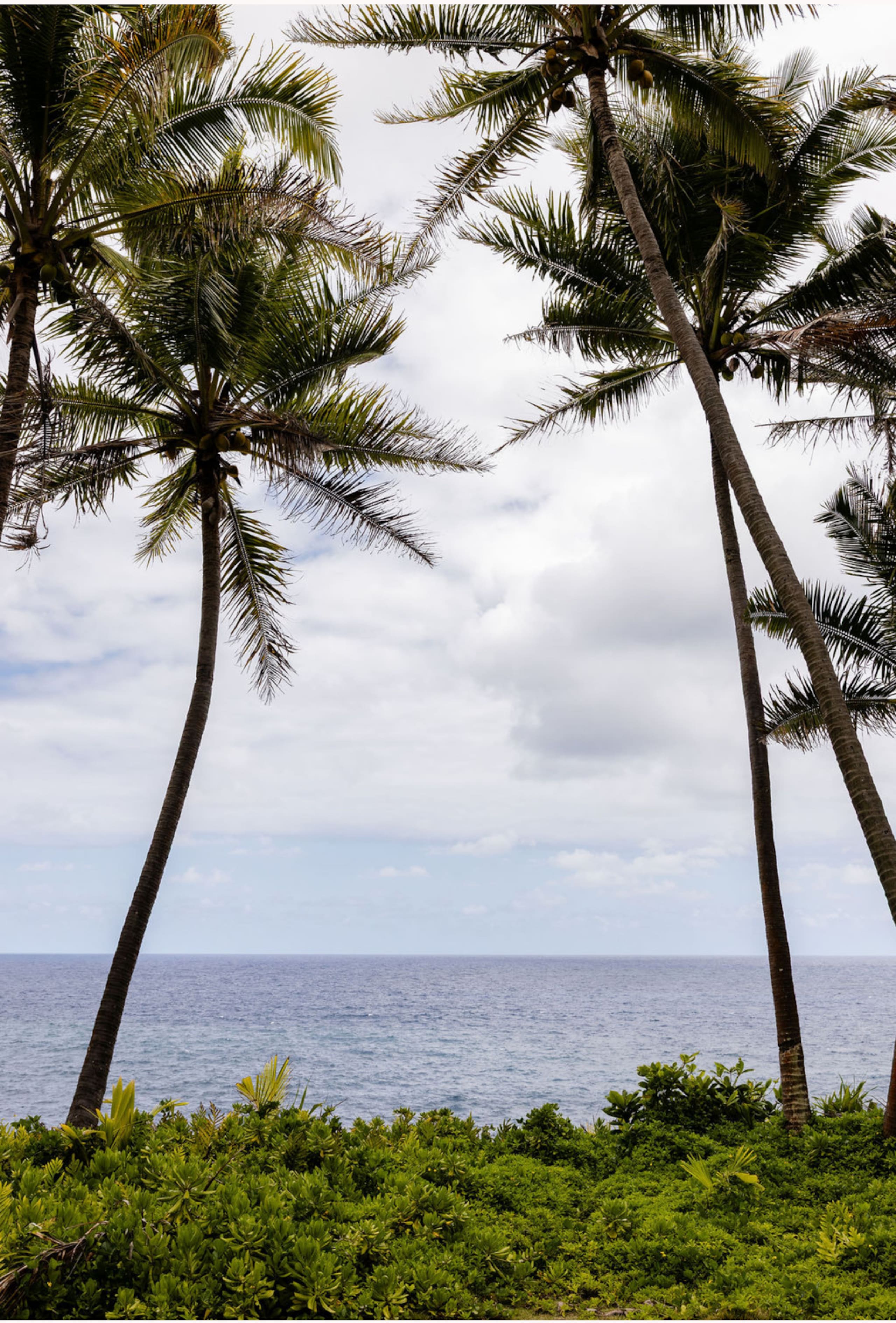 Whale House @ Kehena Beach-by lava fields/beaches - Image 30