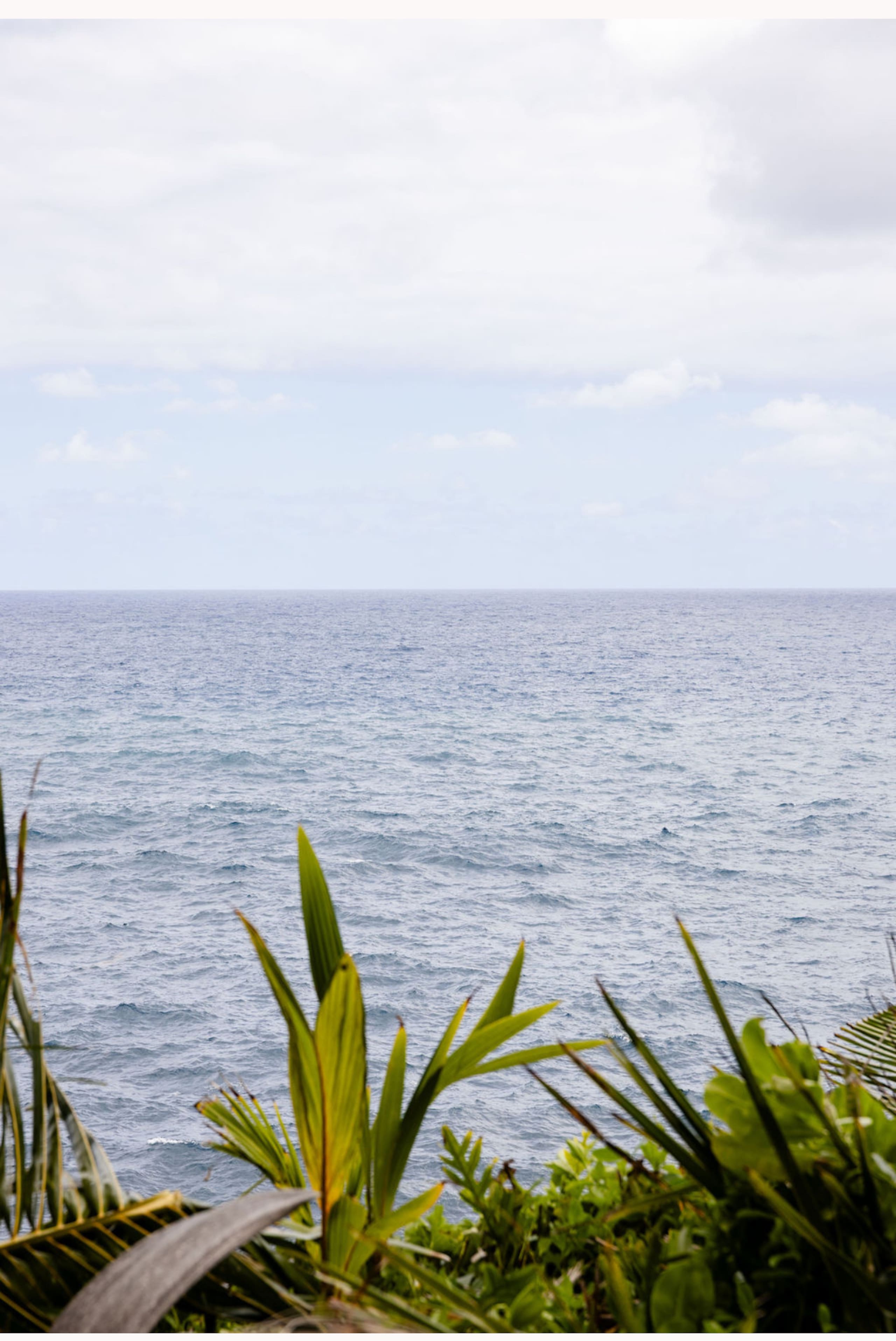 Whale House @ Kehena Beach-by lava fields/beaches - Image 31