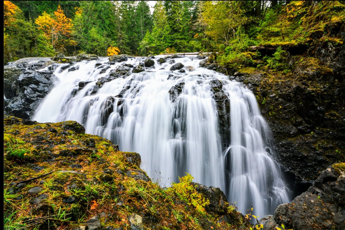 A cascading waterfall flows over dark rocks, surrounded by vibrant green foliage and hints of autumn colors. The water appears silky against the rugged terrain, while the lush forest in the background enhances the natural beauty of the setting.