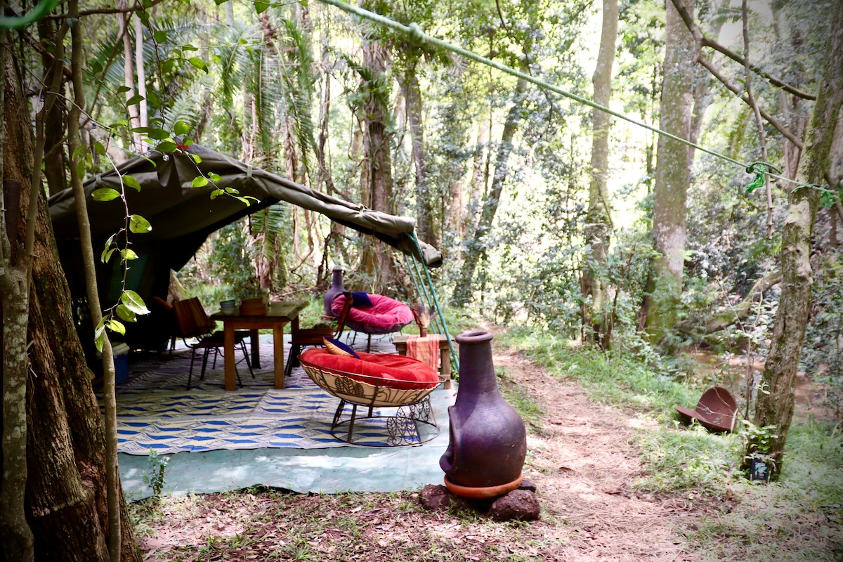 A spacious tent is set among the trees, featuring a dining table and several chairs, as well as comfortable lounge seating. A striking clay pot stands nearby, and the natural surroundings include lush greenery and the gentle sounds of the river.