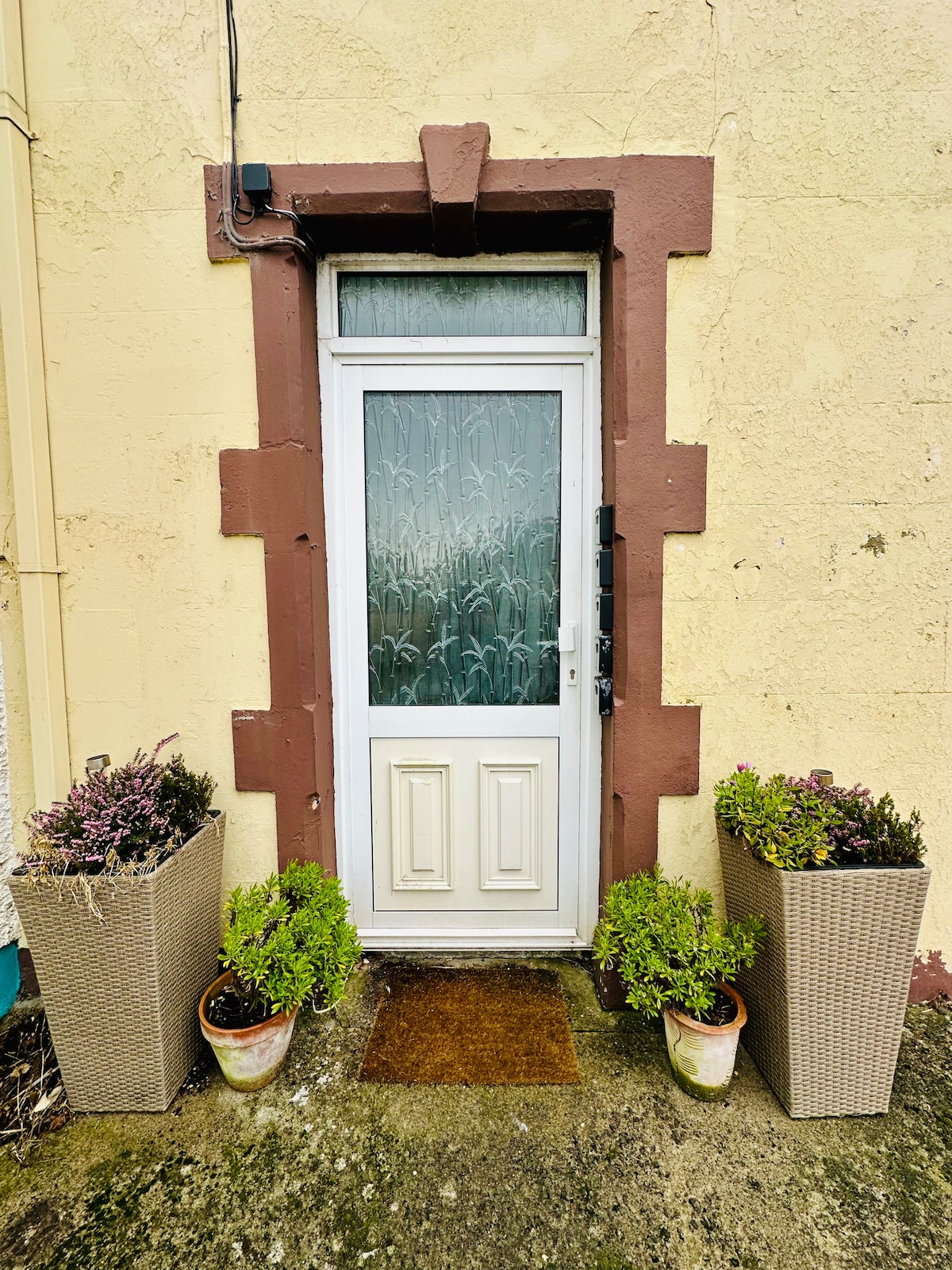 A front door is framed by decorative brown trim, featuring a textured glass panel. On either side, two planters filled with greenery and purple flowers provide a welcoming touch. A small doormat sits before the entrance on a concrete surface.
