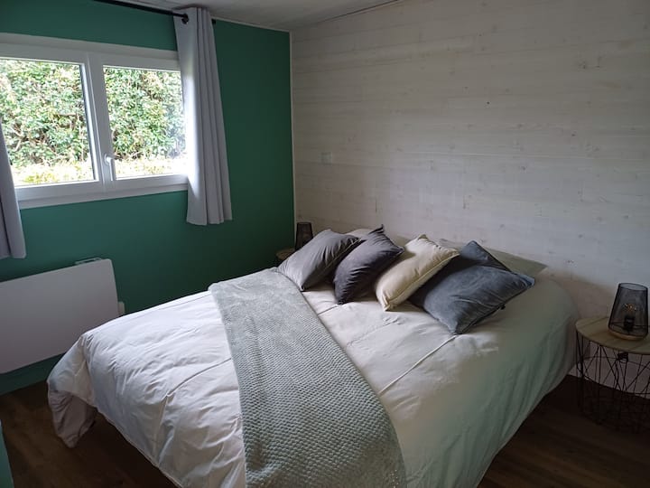 Habitación 1