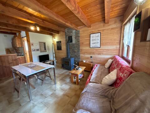 Apartment in the mountains