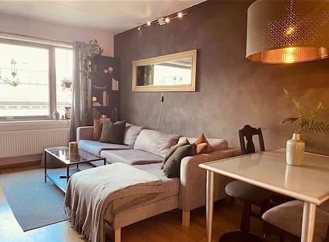 Popular Airbnb listing: Unique 2-room at Grünerløkka in Sagene