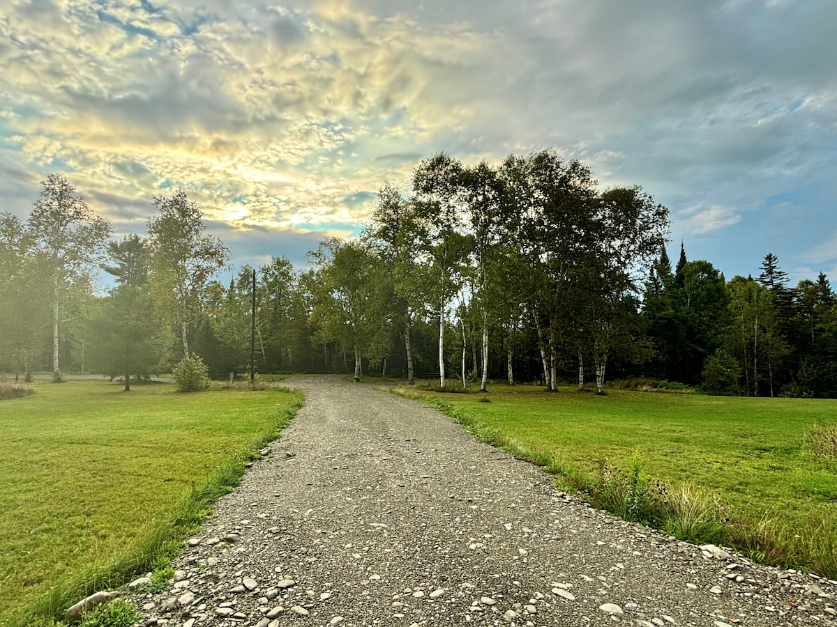 A winding gravel path meanders through a grassy area, lined with a variety of trees including birches. The sky is adorned with soft clouds and hints of sunlight, creating a calming atmosphere in the natural surroundings.