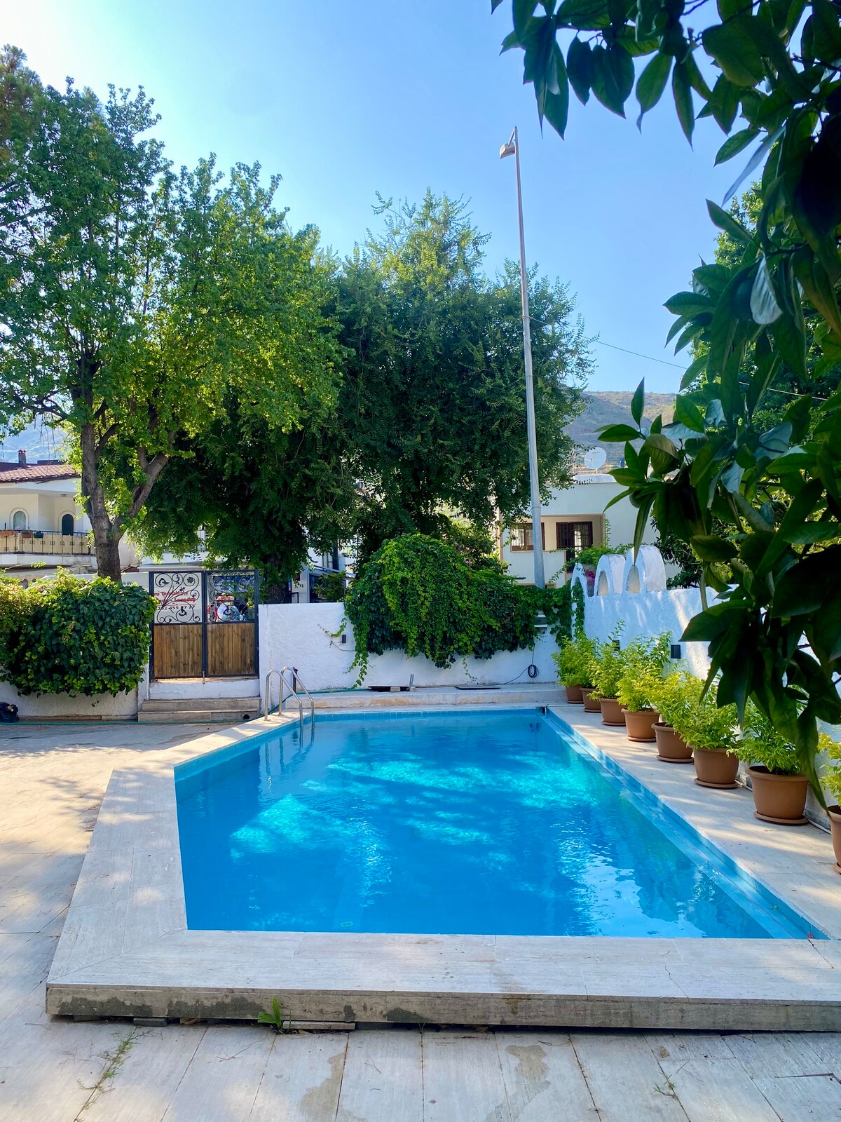 A refreshing swimming pool is surrounded by a well-maintained garden featuring potted plants. Large trees provide shade, creating a serene outdoor environment. The area is designed for relaxation, with a clear blue sky overhead and a white wall framing the pool.