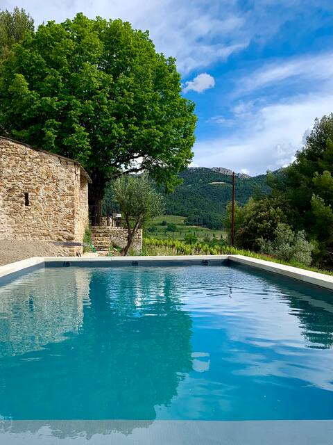 Air-conditioned Mas Provençal with heated pool