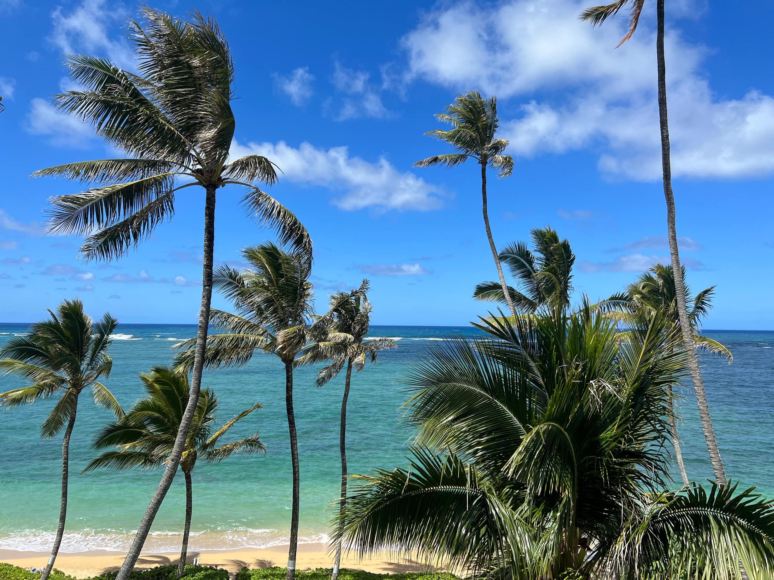 Hawaiian sunrise retreat - Image 8