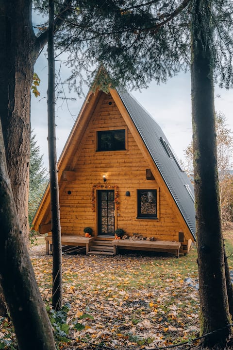 A cozy A-frame on the edge of a forest