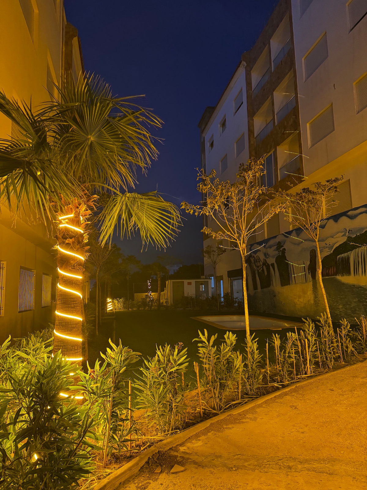 An illuminated palm tree stands alongside a pathway, surrounded by lush greenery. Soft lighting enhances the inviting atmosphere of this outdoor space, creating a peaceful setting within the complex at night. The building facade is visible in the background, adding to the charm of the surroundings.