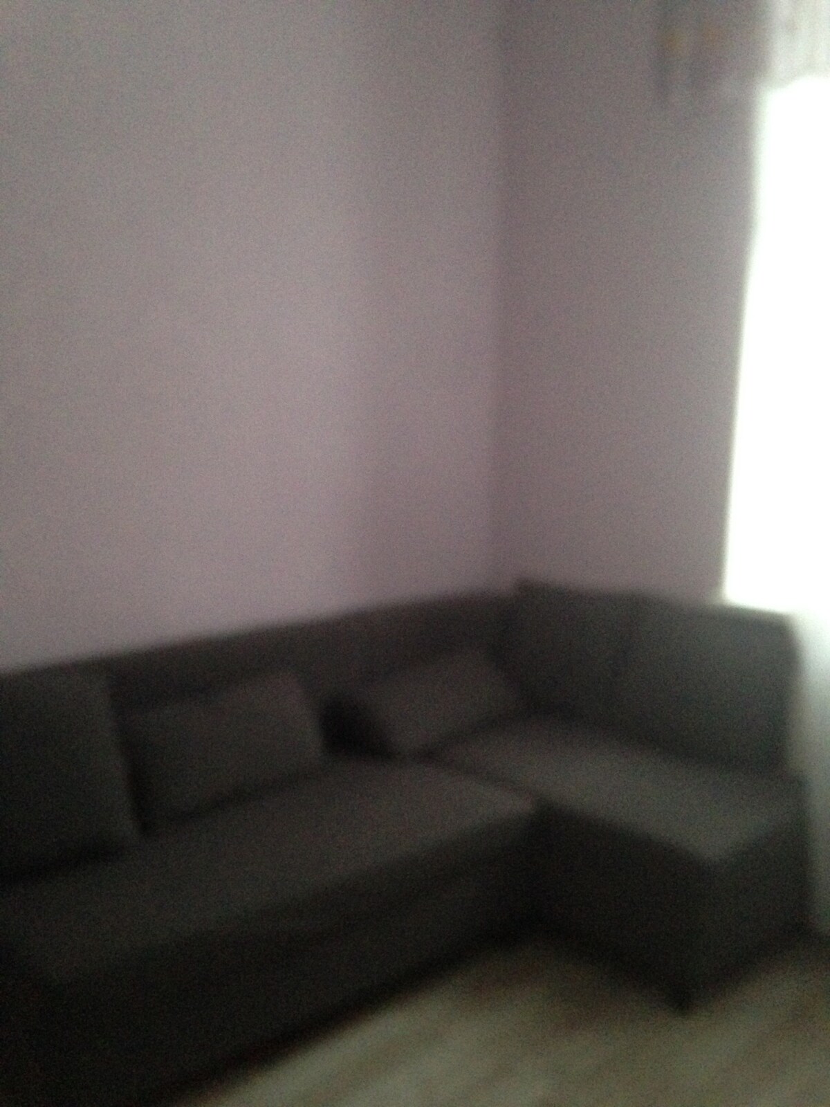 A cozy area features a dark gray sectional sofa arranged in a corner. The walls are painted in soft purple, and natural light filters through a sheer curtain, enhancing the welcoming ambiance.