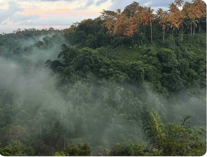 Hideaway On The Valley With Jungle Path To River. - Bali