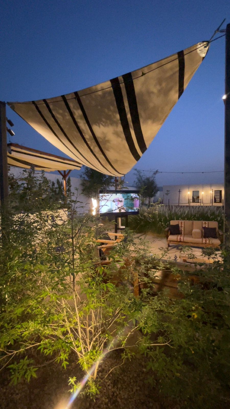 A shaded outdoor seating area features comfortable lounge furniture arranged amidst lush greenery. A large screen is positioned for viewing, with a gentle glow from surrounding lights adding to the ambiance. The evening sky provides a serene backdrop.