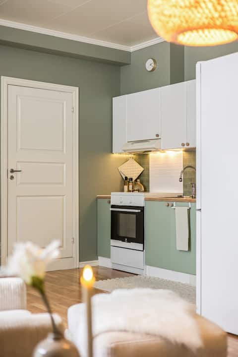 Apartment in the city center, with most amenities.