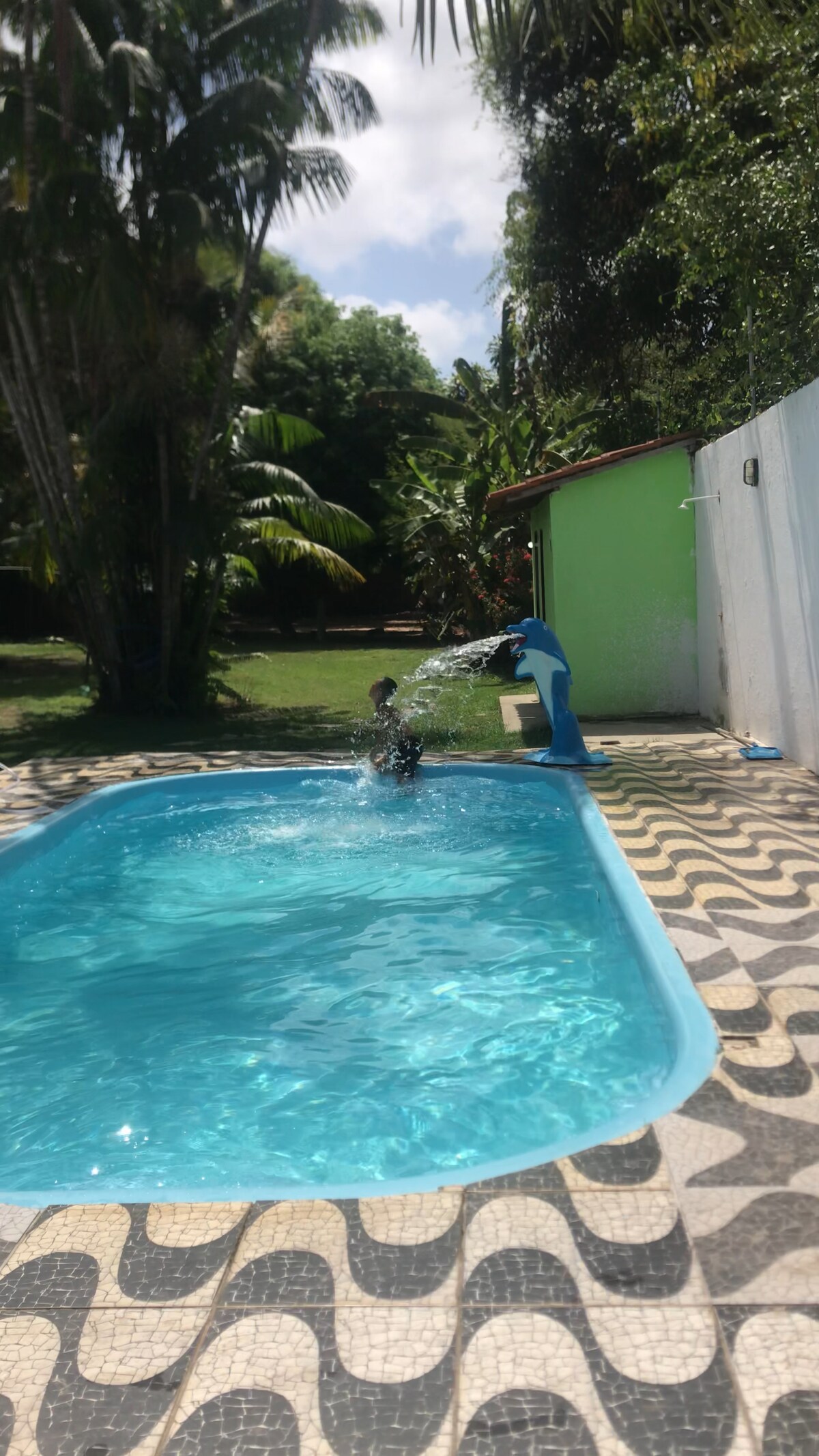 A refreshing swimming pool is surrounded by lush greenery and tropical plants. A playful water feature, shaped like a dolphin, creates a gentle spray, enhancing the inviting atmosphere. The pool area is complemented by a patterned tile design, adding character to the space.