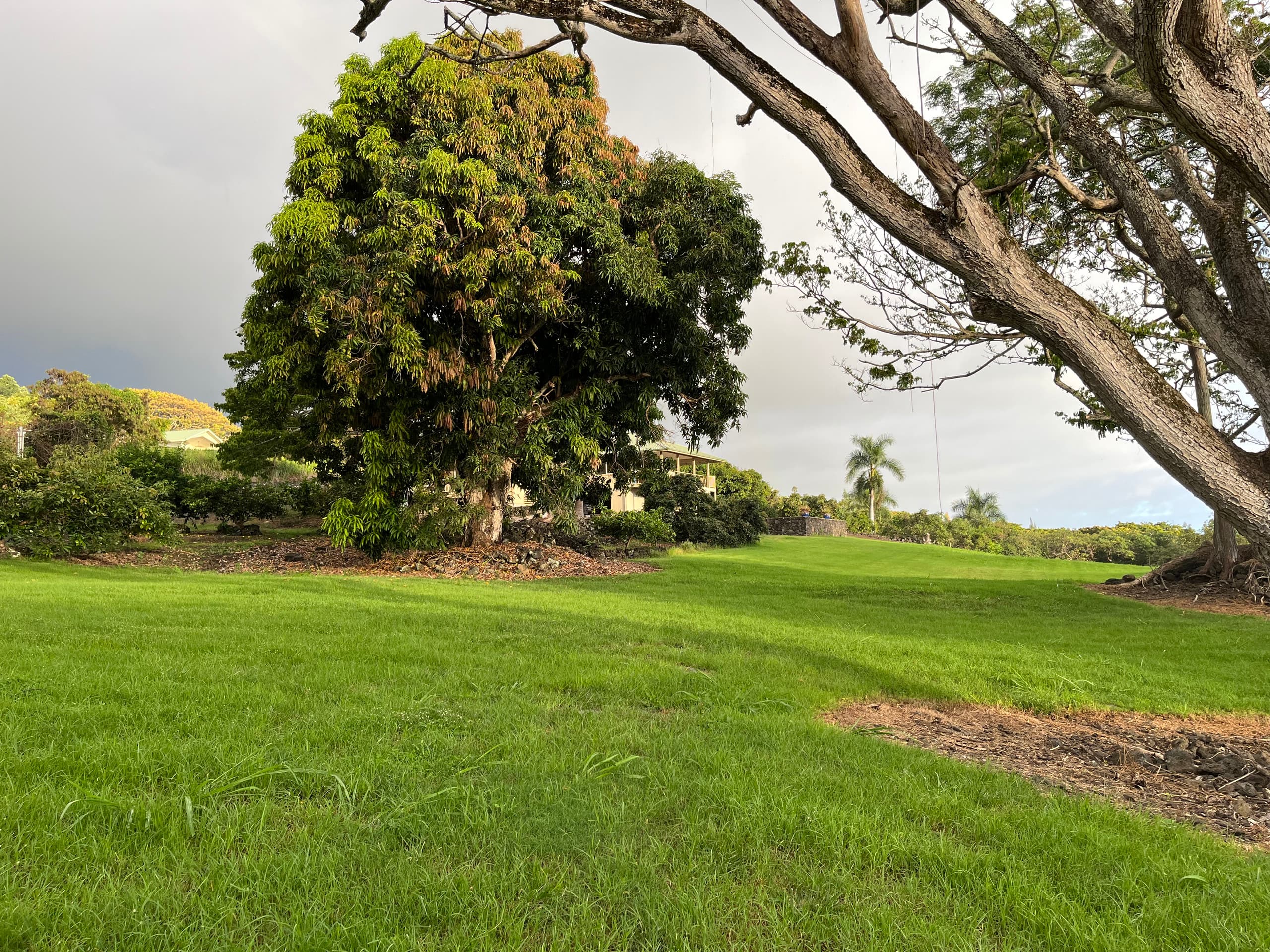 Home in Kailua-Kona · ★4.96 · 3 bedrooms · 3 beds · 2 baths - Image 6