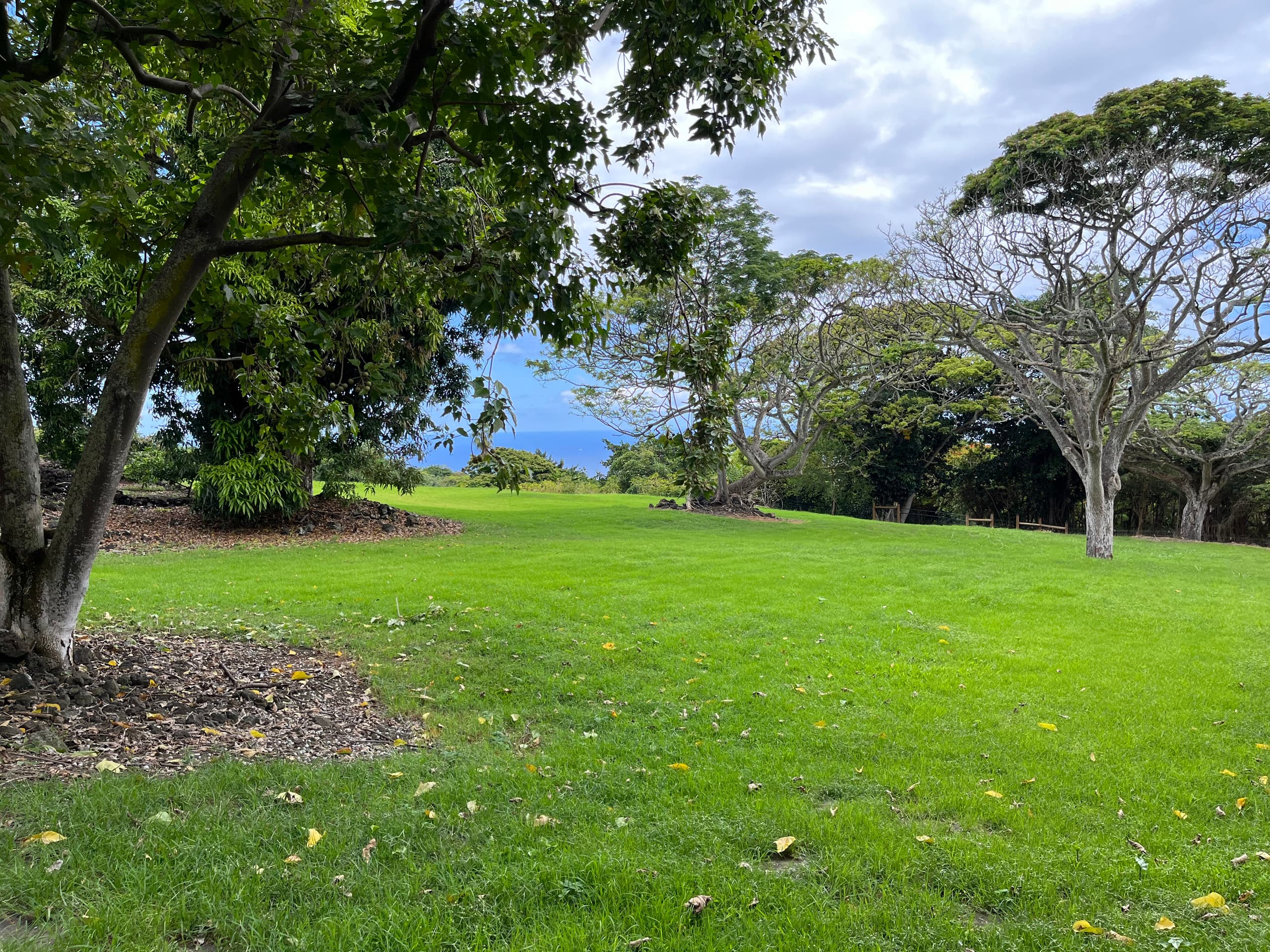 Home in Kailua-Kona · ★4.96 · 3 bedrooms · 3 beds · 2 baths - Image 10